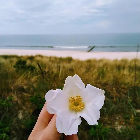 Privatunterkunft Hanna Władysławowo